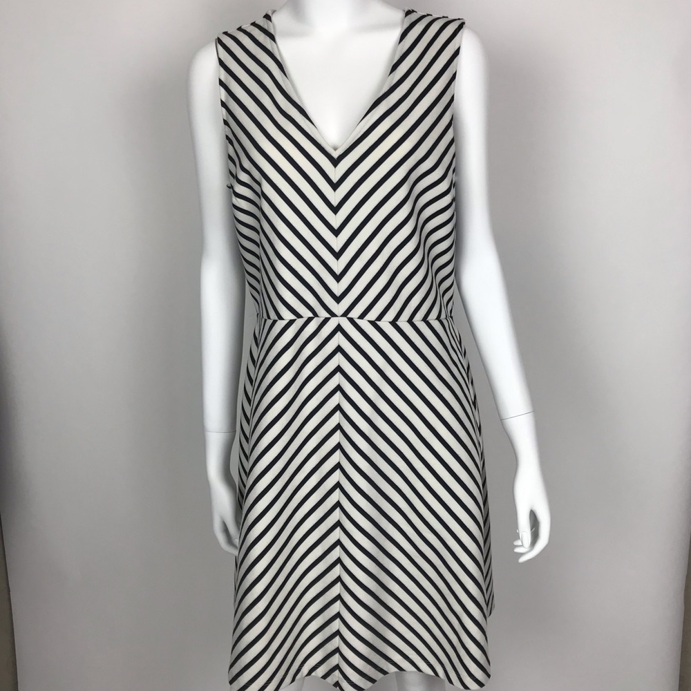 Ann Taylor Loft Black and White Stripe Dress